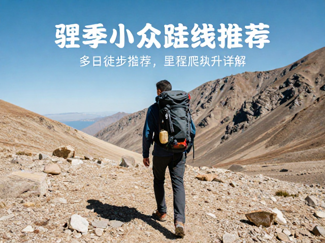 装备配置与生存策略:应对极端环境的硬性指标