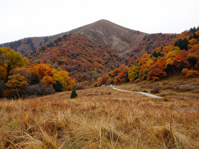 秋入秘境,冷门山峰小众登顶,邂逅高山草甸与绝美彩林徒步之旅