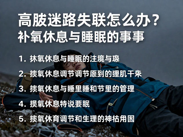 休息期间的生理调节与睡眠管理
