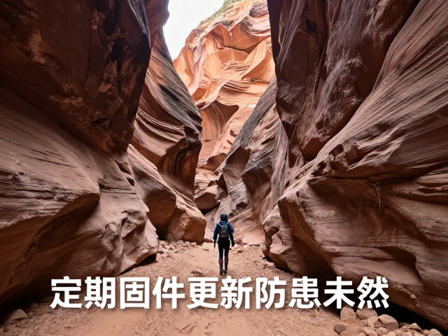 定期固件更新防患未然