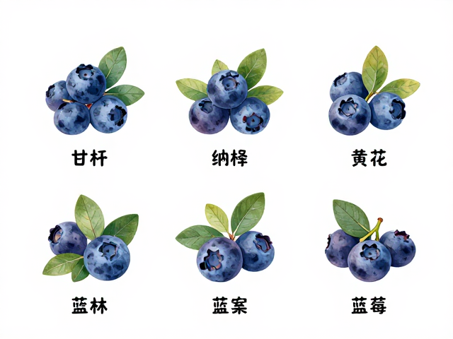 野外辨识技巧与采集注意事项