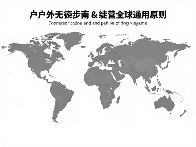 全球通用原则的地域性调整与执行