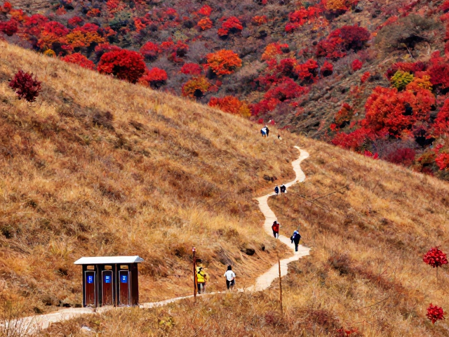 延庆四海镇与松山地区:高山草甸与红叶的混搭风光