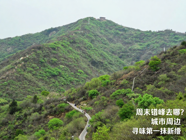 春季山野:寻味第一抹新绿