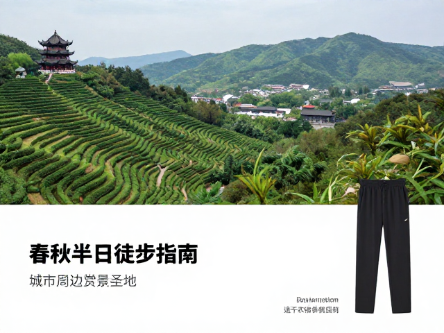 赏景圣地:从自然生态到人文遗迹的视觉捕捉