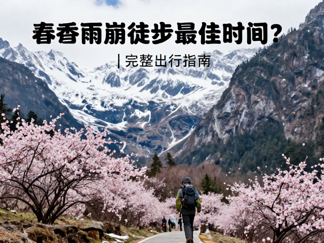 最佳时间段的详细解析