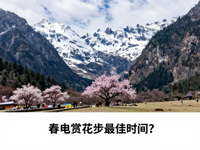 春季赏花雨崩徒步最佳时间?附完整出行指南