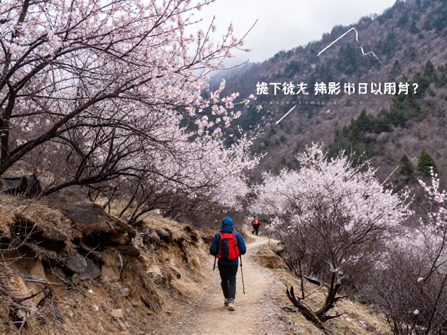 徒步路线与体能准备
