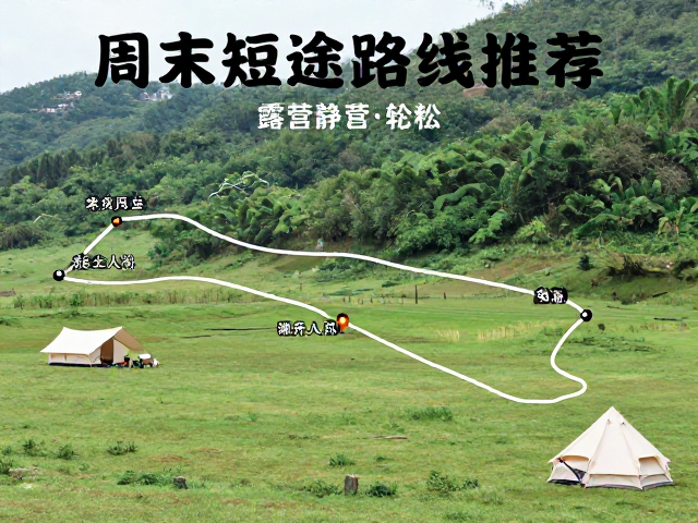 安全风险评估与应对