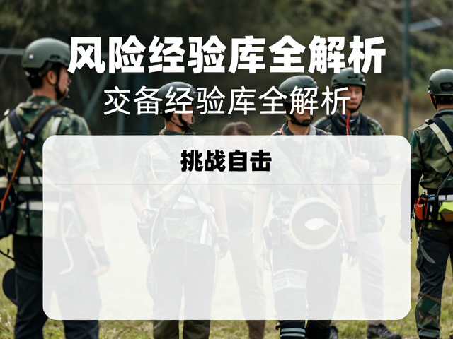 环境适应与风险管理的实战解析