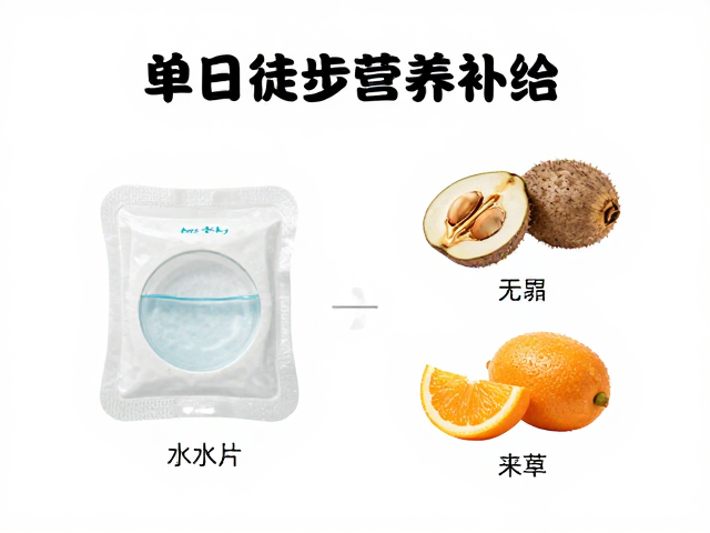 单日徒步营养补给,净水片使用与抗氧化食物搭配指南