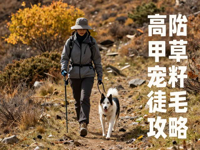 徒步过程中的动态监测与应急处理