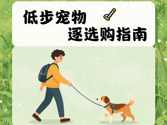 亲子互动的安全边界与行为规范