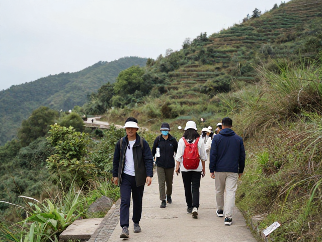 可持续发展的实践路径