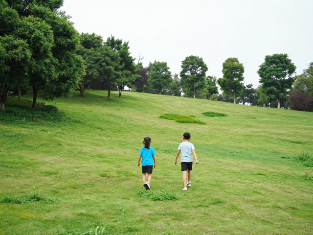 成都龙泉山城市森林公园:平缓坡度的生态体验
