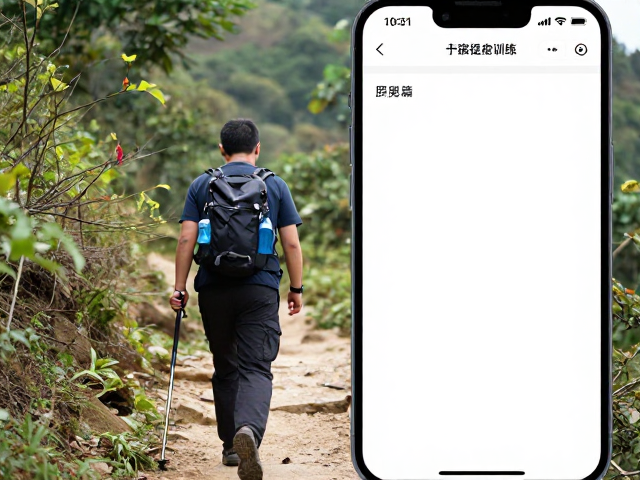 上下坡适应训练:强化核心与关节稳定性