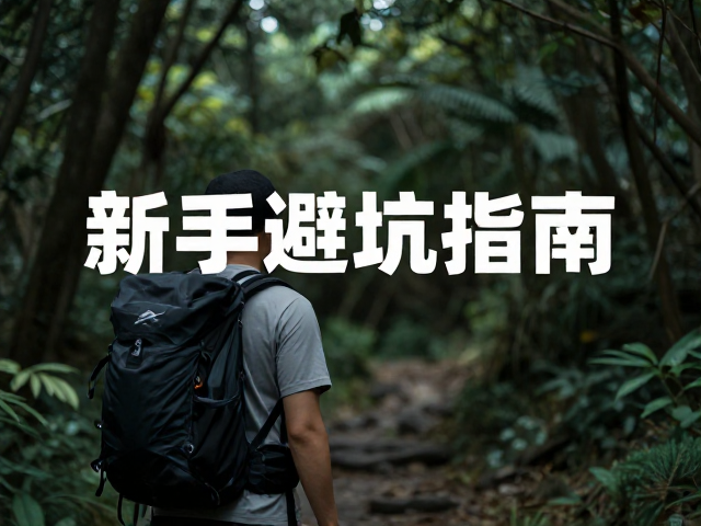 新手常见误区与避坑指南