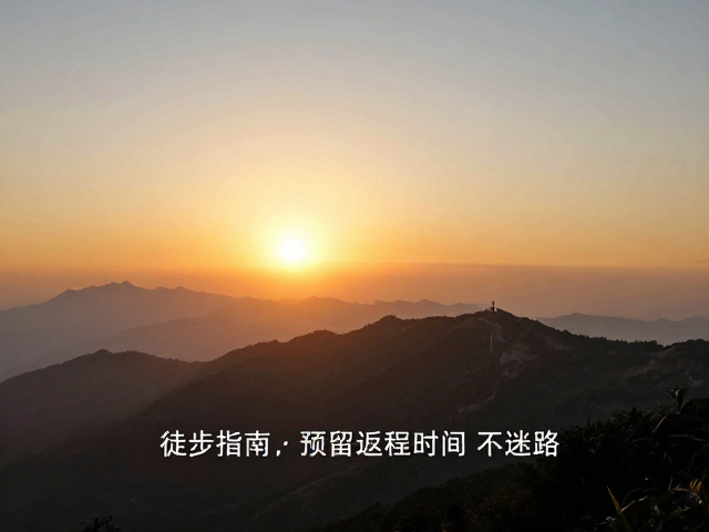 路线规划与安全返程策略