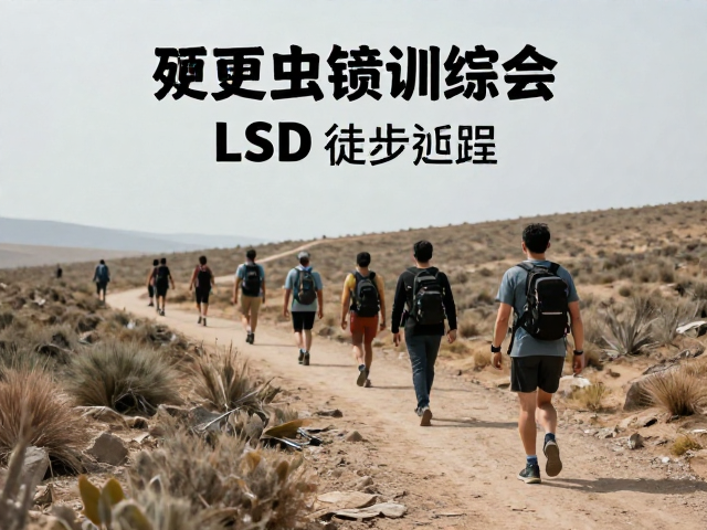 科学执行与进阶路径