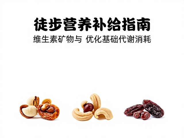 营养协同与补给时机优化