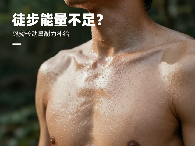 基于出汗特征的动态补给策略