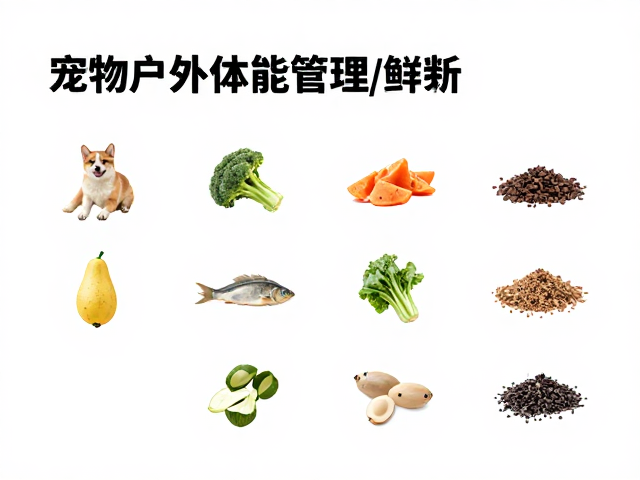 低盐补给的核心逻辑与食材选择