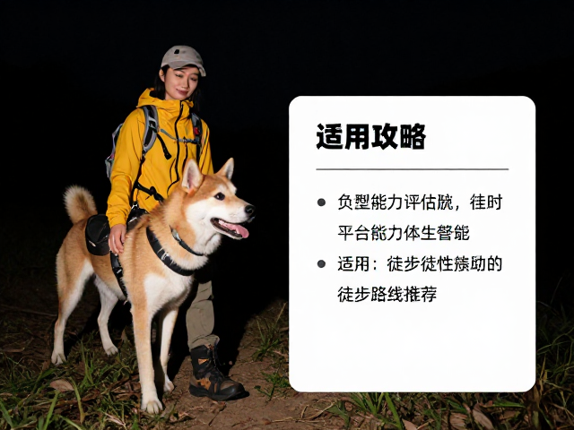 夜间装备配置与可视性管理