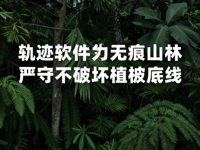 数据沉淀与反馈,构建长效生态评估机制