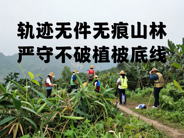 严守底线,技术与伦理的双重约束