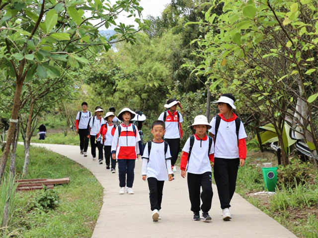 路线设计与安全考量：构建可复制的研学范式