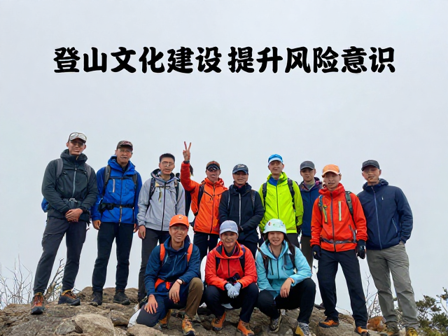团队纽带与互助机制的安全效能