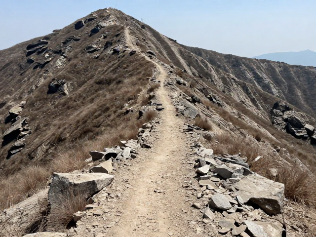 中级强度登顶下山安全路线规划,避开迷路风险攻略