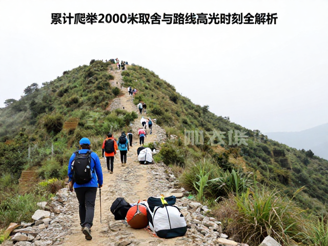 路线规划与高光时刻:地形挑战下的节奏掌控