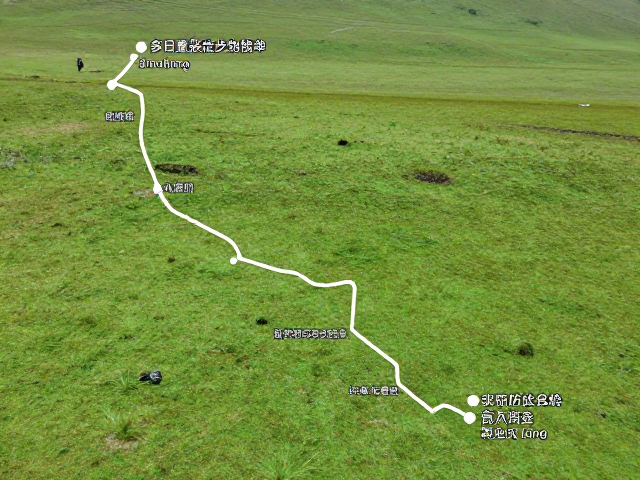草甸营地路线规划