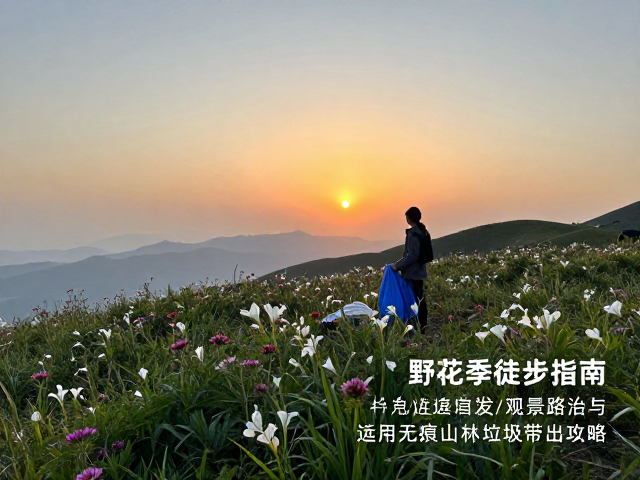 无痕山林垃圾带出的执行细节与分类处理