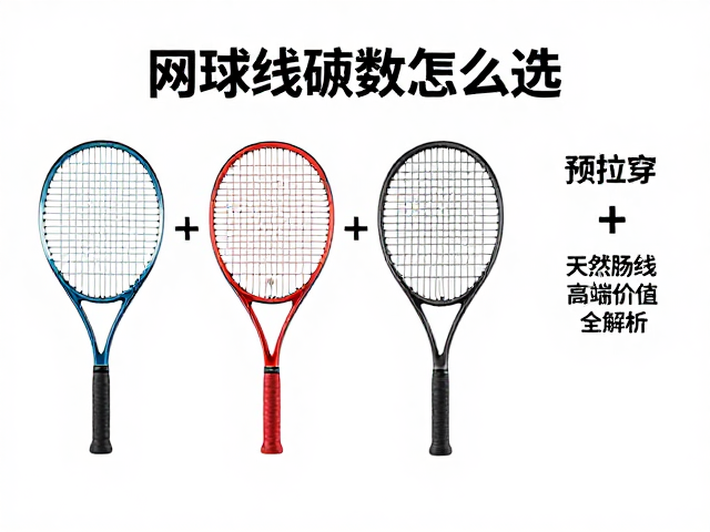 高端价位产品的价值构成与选择逻辑