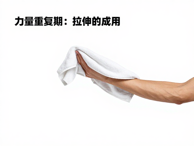 力量重建期的评估与准备