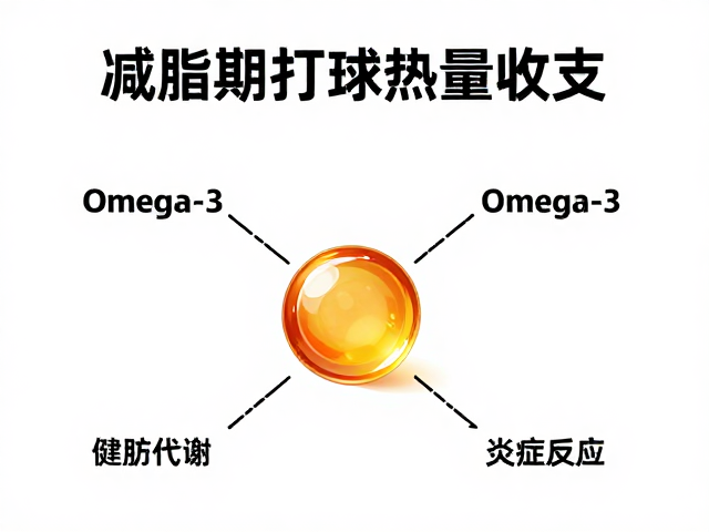 Omega-3对脂肪代谢与炎症反应的调节机制