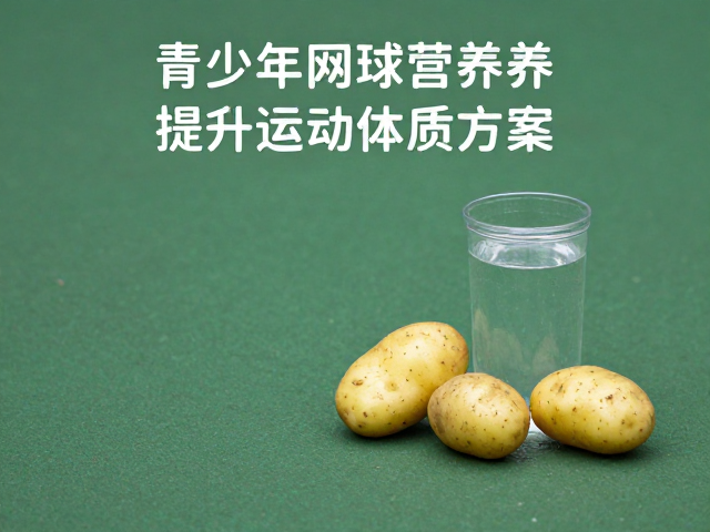长期体质提升与运动表现关联