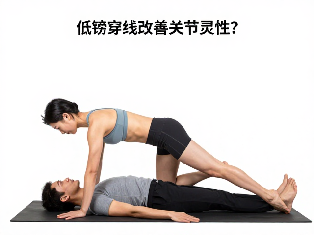 综合训练计划与执行细节