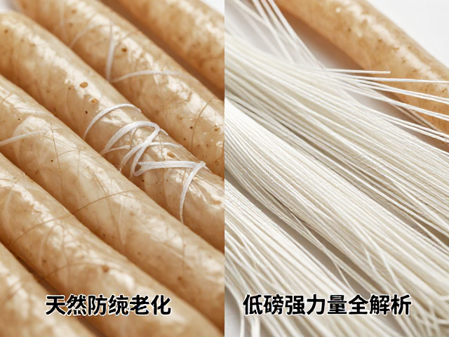 天然肠线与尼龙软线养护，防潮防老化，低磅增强力量全解析