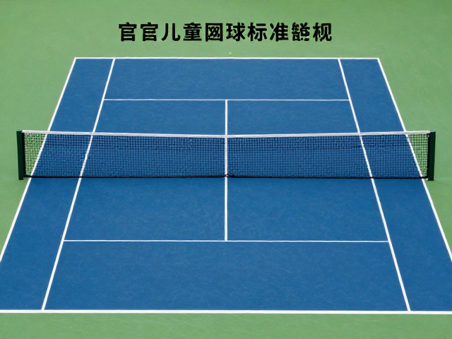不同赛事对用球类型与速度的分类