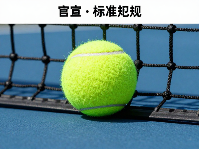 官方用球的标准参数与物理特性
