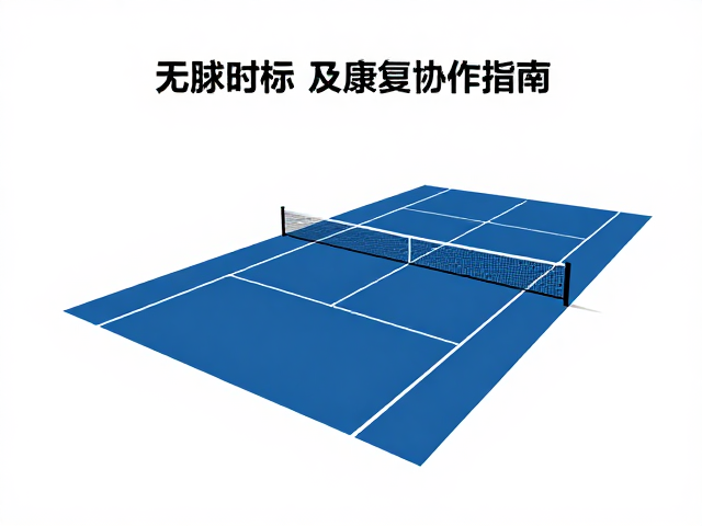 无障碍网球场单打设施要求及康复协作指南