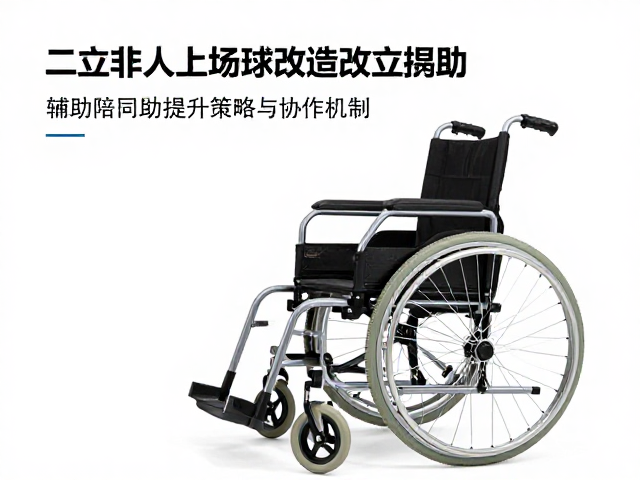 辅助陪同助的提升策略与协作机制