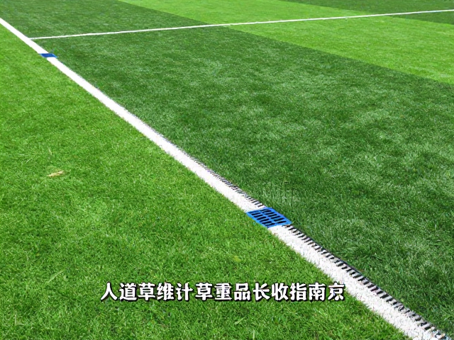 人造草维护费用低指南