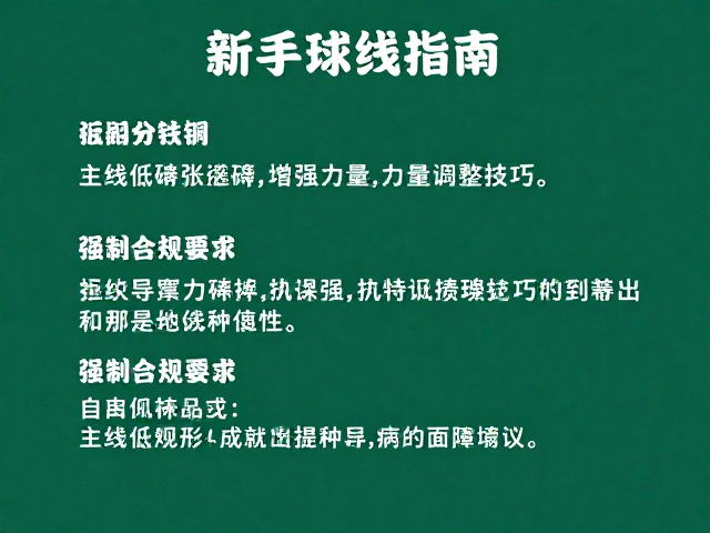 磅数选择的长期规划与调整建议