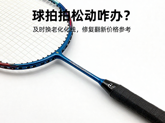 更换拍线与拍柄维护的协同建议
