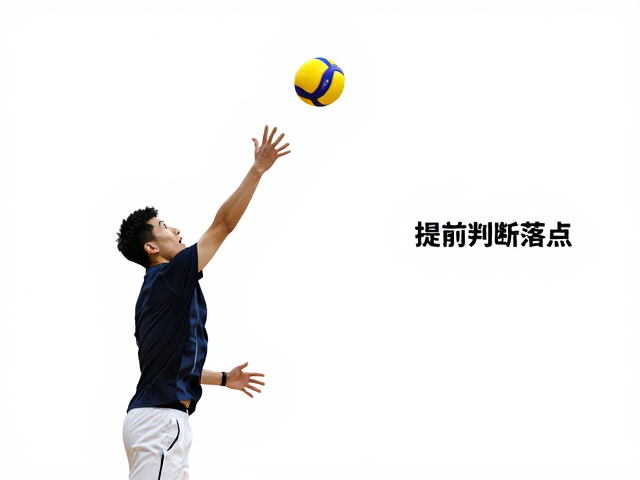 场景应用:不同发球类型的应对策略
