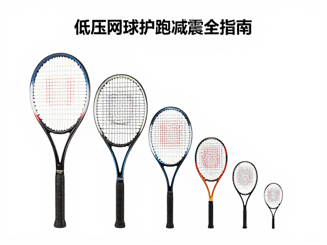 减震功能的科学选择